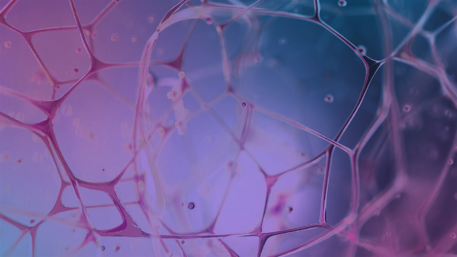 WunderDich Unternehmensentwicklung Systemisch