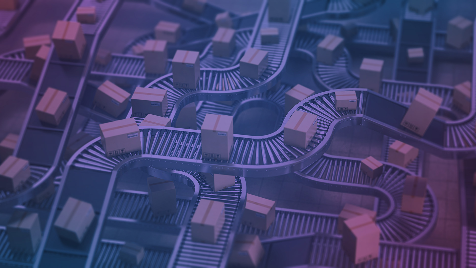 WunderDich Unternehmensentwicklung Vertrieb